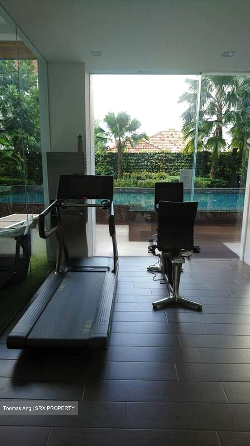 7 on Chapel (D15), Apartment #477880181